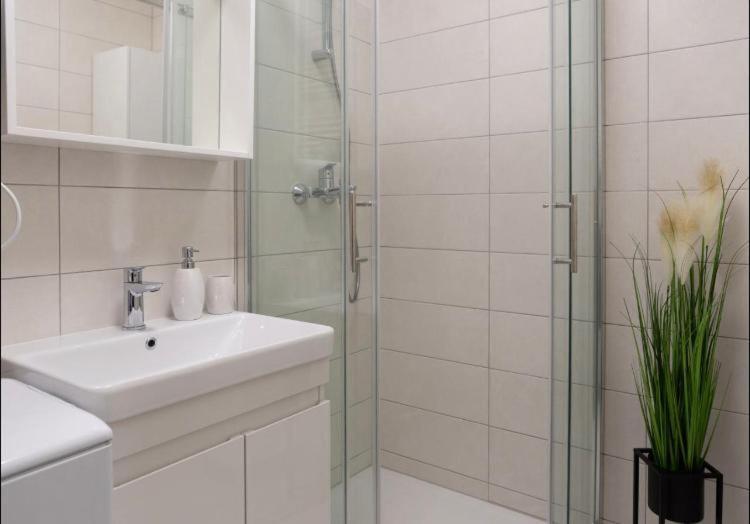 Apartment Alexandre *