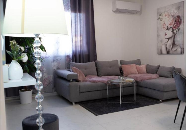 Apartment Alexandre *